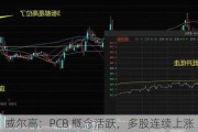 威尔高：PCB 概念活跃，多股连续上涨