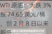 WTI 原油：大跌 3%报 74.65 美元/桶，创 2 月 8 日以来新低