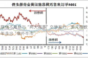 美联储不降息与“两大叙事”交替发力，美元指数上半年走出“意外牛市”