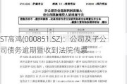 ST高鸿(000851.SZ)：公司及子公司债务逾期暨收到法院传票