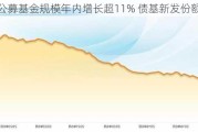 公募基金规模年内增长超11% 债基新发份额居首