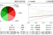 市场震荡回落 消费电子获主力资金小幅增持！