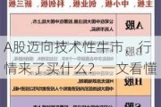 A股迈向技术性牛市，行情来了买什么？一文看懂