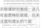 农银理财刘湘成：这几年股票特别艰难，应关注盈利增长的个股