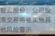 智云股份：公司股票交易将被实施其他风险警示