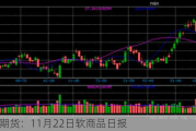 光大期货：11月22日软商品日报