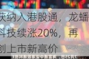 获纳入港股通，龙蟠科技续涨20%，再创上市新高价