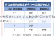 业绩预增约三成！这家北交所公司半年预盈超9000万元