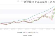 药明康德上半年净利下降两成