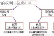 期权拥有者的权利与义务