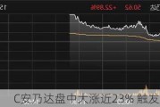 C安乃达盘中大涨近23% 触发临时停牌