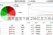 两市震荡下跌 256亿主力资金出逃！