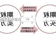 白糖期权的杠杆效应