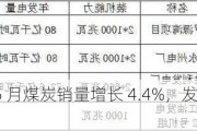 中国神华：5 月煤炭销量增长 4.4%，发电量增长 6.8%