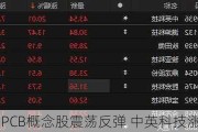 PCB概念股震荡反弹 中英科技涨停