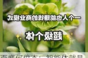 百度何俊杰：智能体就是生产力，人人都能成为超级个体