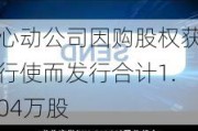 心动公司因购股权获行使而发行合计1.04万股