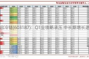 海容冷链(603187)：Q1业绩略承压 中长期增长逻辑不变