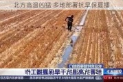 北方高温凶猛 多地部署抗旱保夏播