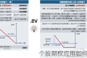 个股期权应用如何使用？