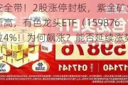 系好安全带！2股涨停封板，紫金矿业再刷历史新高，有色龙头ETF（159876）暴拉4%！为何飙涨？能否延续涨势？