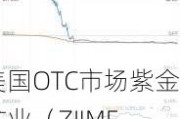 美国OTC市场紫金矿业（ZIJMF.us）盘中异动 急速拉升5.86%报1.90美元