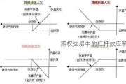 期权交易中的杠杆效应解析