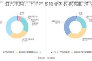 阳光电源：上半年多项业务数据亮眼 增长显著