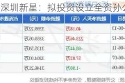 深圳新星：拟投资设立全资孙公司