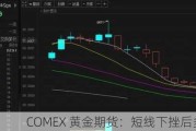 COMEX 黄金期货：短线下挫后多空失衡