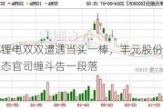 跨界锂电双双遭遇当头一棒，丰元股份与天域生态官司缠斗告一段落