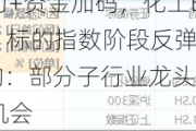 政策发力+资金加码，化工ETF（516020）标的指数阶段反弹近19%！机构：部分子行业龙头或具备历史性投资机会