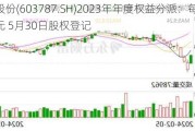 新日股份(603787.SH)2023年年度权益分派：每股派0.15元 5月30日股权登记