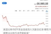 美国比特币ETF资金连续流入天数创纪录 期权市场押注比特币本月会新高