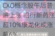 CXO概念股午后普遍上涨 昭衍新药涨超10%康龙化成涨超6%