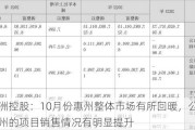 中洲控股：10月份惠州整体市场有所回暖，公司在惠州的项目销售情况有明显提升