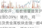 A股收评：指数缩量震荡沪指涨0.09%！猪肉、鸡肉及贵金属板块走强，超4300股下跌，成交6022亿，较前一交易日缩量848亿