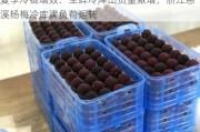 夏季冷链增效：生鲜冷库出货量激增，浙江慈溪杨梅冷库满负荷运转