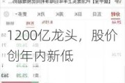 1200亿龙头，股价创年内新低