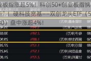 创业板指涨超5%！科创50+创业板指携手“暴走”！硬科技宽基——双创龙头ETF（588330）盘中涨超4%！