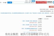 佳兆业集团：被执行总金额超 310 亿元