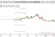 圣晖集成(603163.SH)2023年度每股派0.8元 股权登记日为6月13日