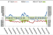 PP期货下跌后反弹，下周能延续涨势吗？