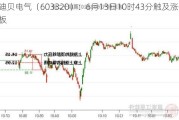 迪贝电气（603320）：6月13日10时43分触及涨停板