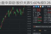 黄金矿业盘中异动 股价大跌5.60%报0.265美元