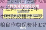 财政部副部长廖岷答每经问：2023年中央财政拨付 三大粮食作物保费补贴约200亿元