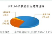 泛亚微透：上半年净利润同比预增0.19%―12.43%