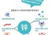 锌吸收与什么因素无关