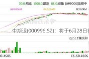 中期退(000996.SZ)：将于6月28日被摘牌