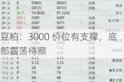 豆粕：3000 价位有支撑，底部震荡待察